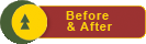 before and after